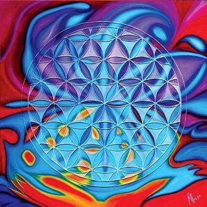 Meet your Posher, Sheri